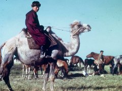 1944年内蒙古鄂尔多斯老照片