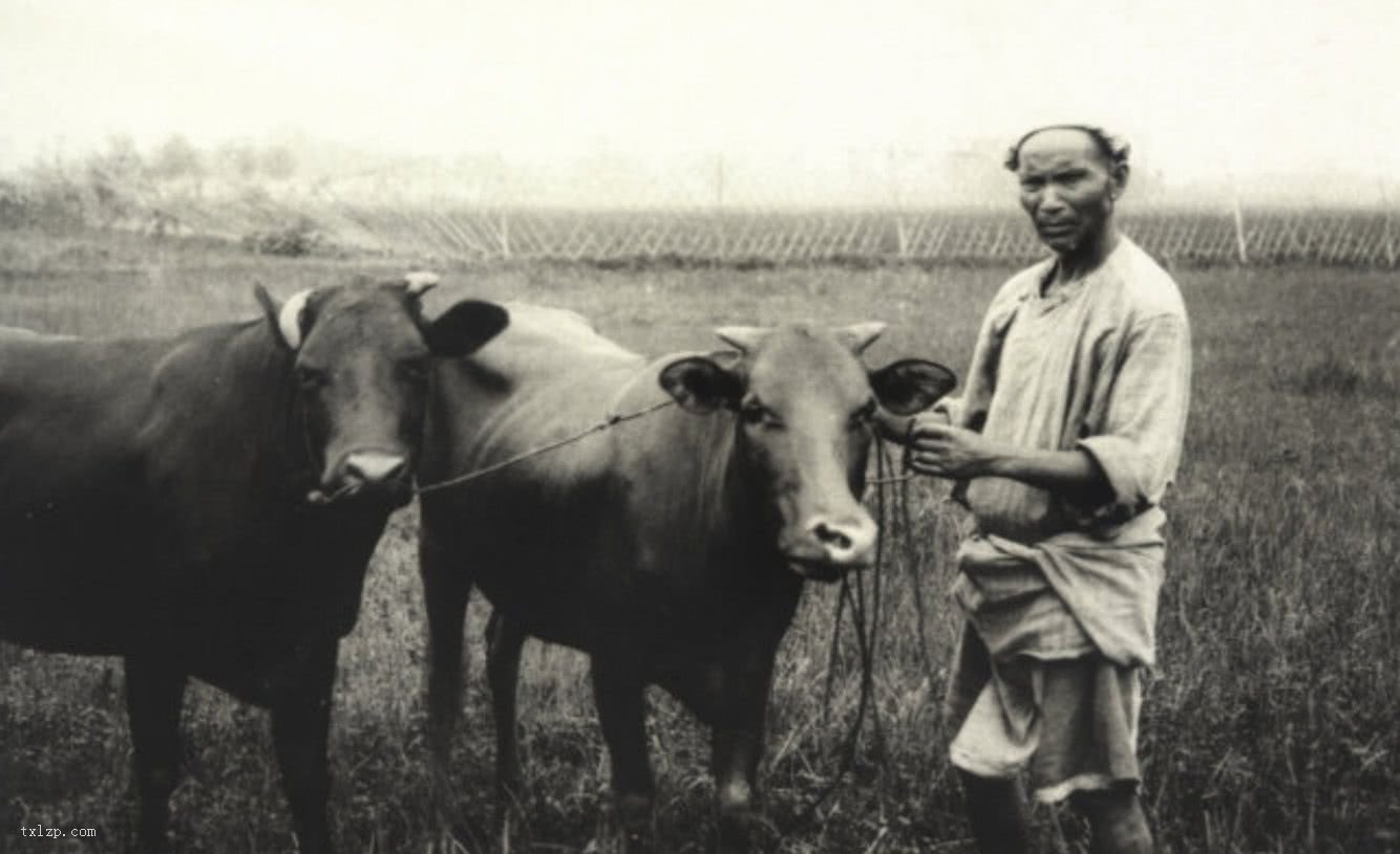 美国人路德·那爱德在晚清1911年拍摄的珍贵晚清老照片