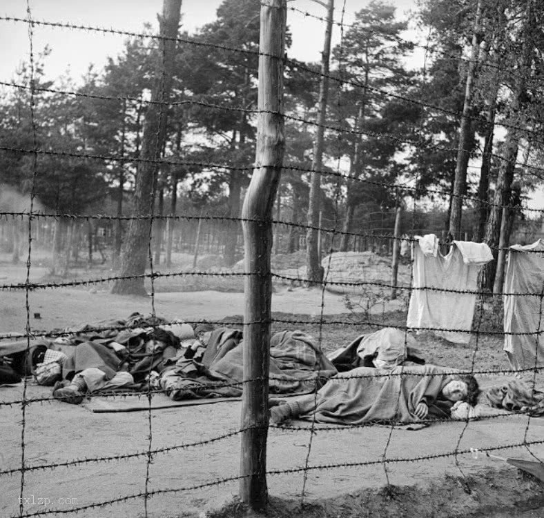 1945年英军解放纳粹贝尔森集中营悲惨影像