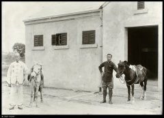 1913年 广西南宁海关的马夫老照片 贺智兰摄