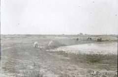 1907年河南归德府（今商丘）老照片 百年前的商丘风貌