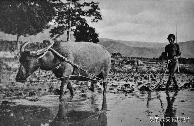 1931年海南岛老照片 黎族部落原生态生活影像及人物风貌