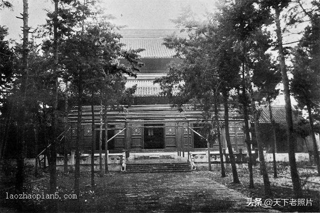 1910ϾƬ ǰϾзò֪