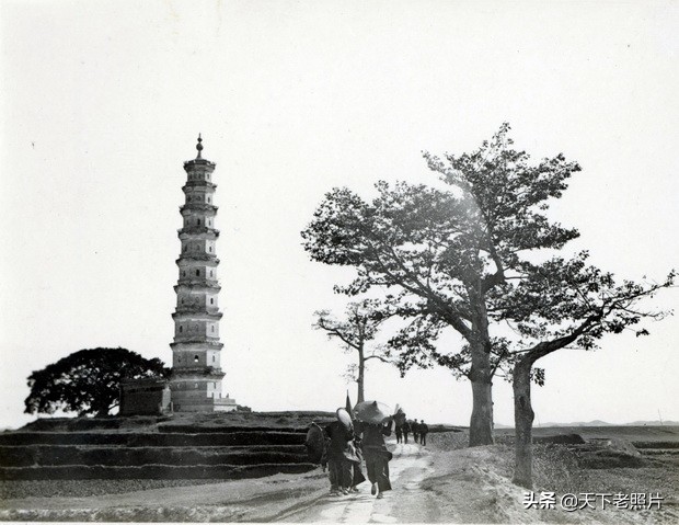 1909ɽƬ ǰĿˮò