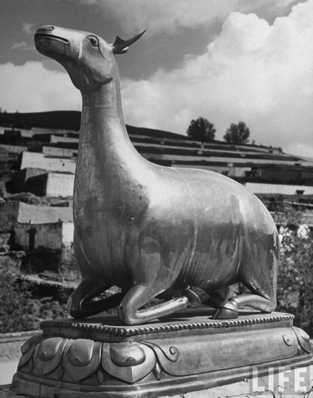 1947年青海老照片 彼时的塔尔寺及百姓风貌