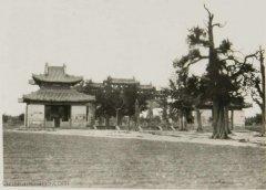 1938年曲阜老照片 90多年的曲阜孔林风光