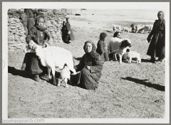 民国初期 瑞典人拍摄的内蒙古老照片集（八）