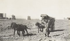 1910 ��Ī��ѭ�й���������Ƭ��
